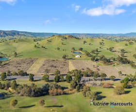 Rural / Farming commercial property for sale at 5355 Goulburn Valley Highway Yea VIC 3717