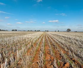 Rural / Farming commercial property for sale at 511 Christies Road Katunga VIC 3640