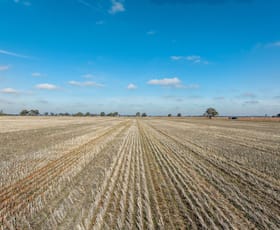 Rural / Farming commercial property for sale at Christies Road Katunga VIC 3640