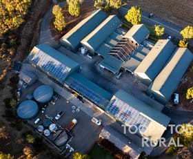 Rural / Farming commercial property for sale at 87 Sir Condor Laucke Way Greenock SA 5360