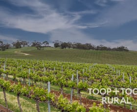 Rural / Farming commercial property for sale at 555 Gomersal Road Gomersal SA 5352