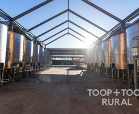 Rural / Farming commercial property for sale at 87 Sir Condor Laucke Way Greenock SA 5360