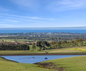 Rural / Farming commercial property for sale at 282-350 Founds Road Drysdale VIC 3222