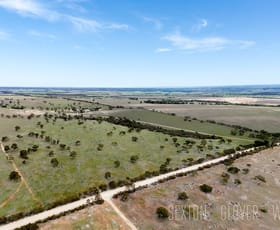 Rural / Farming commercial property for sale at Sec 253 Chaunceys Line Road Hartley SA 5255