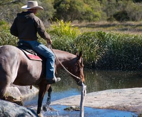 Rural / Farming commercial property for sale at Puglisi Road Dalveen QLD 4374