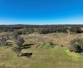 Rural / Farming commercial property for sale at Puglisi Road Dalveen QLD 4374
