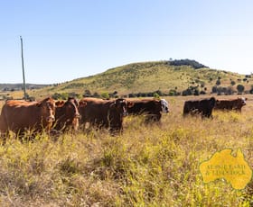 Rural / Farming commercial property for sale at 1278 TOP GURGEENA ROAD Branch Creek QLD 4625