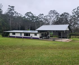 Rural / Farming commercial property for sale at 830 Herberton Road Wongabel QLD 4883