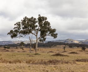 Rural / Farming commercial property for sale at 162 Mount View Road Kandos NSW 2848