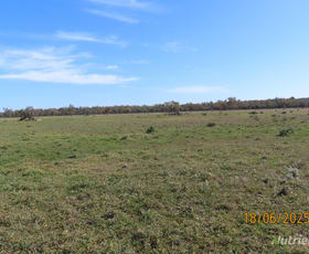 Rural / Farming commercial property for sale at * Springvale Walgett NSW 2832
