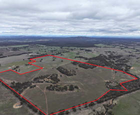 Rural / Farming commercial property for sale at Lot 1 Rheola - Llanelly Road Murphys Creek VIC 3551