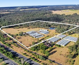 Rural / Farming commercial property for sale at 140 Prices Road Douglas Park NSW 2569