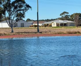 Rural / Farming commercial property for sale at 79 Cottonvale School Rd Cottonvale QLD 4375