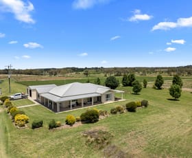 Rural / Farming commercial property for sale at 79 Cottonvale School Rd Cottonvale QLD 4375