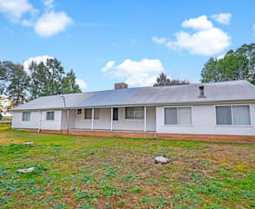 Rural / Farming commercial property for sale at 119 Quarry Road Moorbel NSW 2804