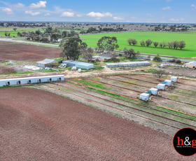 Rural / Farming commercial property for sale at 2065 Curr Road Tongala VIC 3621