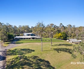 Rural / Farming commercial property for sale at 164-178 Quinzeh Creek Road Logan Village QLD 4207