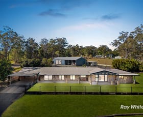 Rural / Farming commercial property for sale at 164-178 Quinzeh Creek Road Logan Village QLD 4207