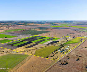 Rural / Farming commercial property for sale at "Karinya" 586 Moran Road Linthorpe QLD 4356
