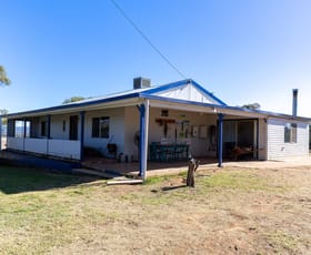 Rural / Farming commercial property for sale at 10 Salter Street Bingara NSW 2404