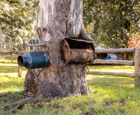 Rural / Farming commercial property for sale at 484 Craven Creek Road Rookhurst NSW 2422