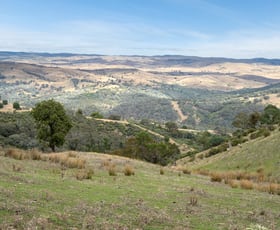 Rural / Farming commercial property for sale at 1257 Bundalah Road Euchareena NSW 2866