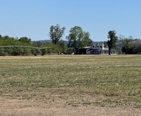Rural / Farming commercial property for sale at 59 Blairmore Lane Aberdeen NSW 2336