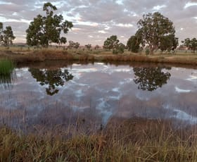 Rural / Farming commercial property for sale at 14317 Golden Highway Leadville NSW 2844
