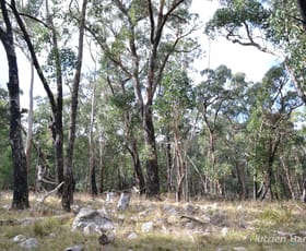 Rural / Farming commercial property for sale at . Youngs Road Baynton VIC 3444