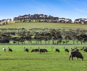 Rural / Farming commercial property for sale at 2125 Barrabool Road Mount Moriac VIC 3240