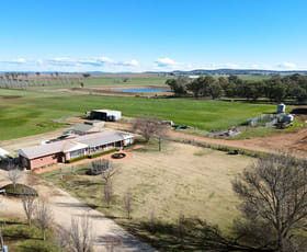 Rural / Farming commercial property for sale at 349 Nangar Road Canowindra NSW 2804