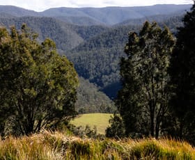 Rural / Farming commercial property for sale at 214 Eaglehawk Trail Yarrowitch NSW 2354