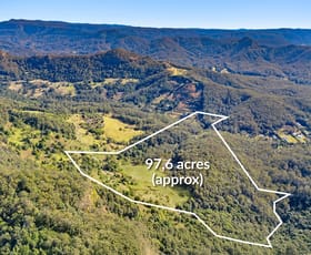 Rural / Farming commercial property for sale at 193 Petsch Creek Road Tallebudgera Valley QLD 4228
