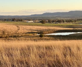 Rural / Farming commercial property for sale at "Sirius" East Turanville Road Scone NSW 2337