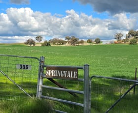 Rural / Farming commercial property for sale at 306 Moola Road Canowindra NSW 2804
