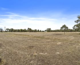 Rural / Farming commercial property for sale at 1210 Picola - Barmah Road Barmah VIC 3639