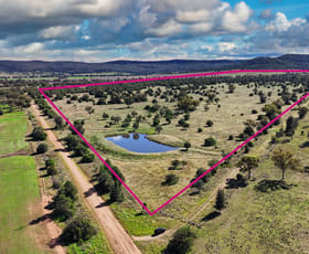 Rural / Farming commercial property for sale at 1373 Wave Hill Road Tarriaro NSW 2390
