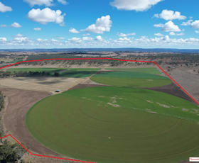 Rural / Farming commercial property for sale at 428 Cannindah Road Monto QLD 4630
