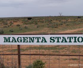 Rural / Farming commercial property for sale at * Magenta Aggregation Balranald NSW 2715