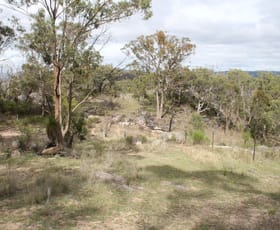 Rural / Farming commercial property for sale at Lot 49 Gunyah Road Tenterfield NSW 2372