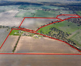 Rural / Farming commercial property for sale at 161 Settlement Road Dimboola VIC 3414