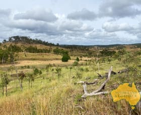 Rural / Farming commercial property for sale at 59 MUNGY ROAD Mungy QLD 4671