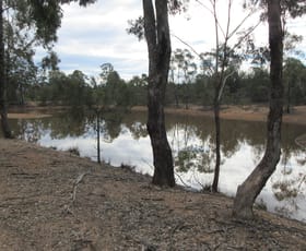 Rural / Farming commercial property for sale at Tara QLD 4421