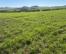 Rural / Farming commercial property for sale at Lot 52 Starling Road Bowes WA 6535