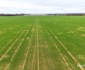 Rural / Farming commercial property for sale at 85 Four Mile Gate Road Walgoolan WA 6422