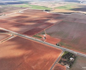 Rural / Farming commercial property for sale at 73 Mirrool Branch Canal Road Hanwood NSW 2680