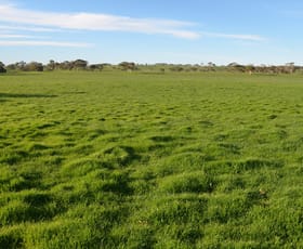 Rural / Farming commercial property for sale at 615 Henry Creek Road Kingston Se SA 5275