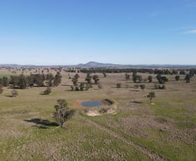 Rural / Farming commercial property for sale at Wirrinya Road Forbes NSW 2871