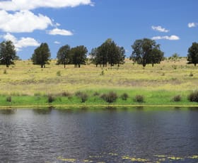 Rural / Farming commercial property for sale at 2053 Wallumbilla North Rd Wallumbilla QLD 4428 Rural / Farming commercial property for sale at 2053 Wallumbilla North Rd Wallumbilla QLD 4428