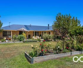 Rural / Farming commercial property for sale at 252 Mount Macquarie Road Carcoar NSW 2791